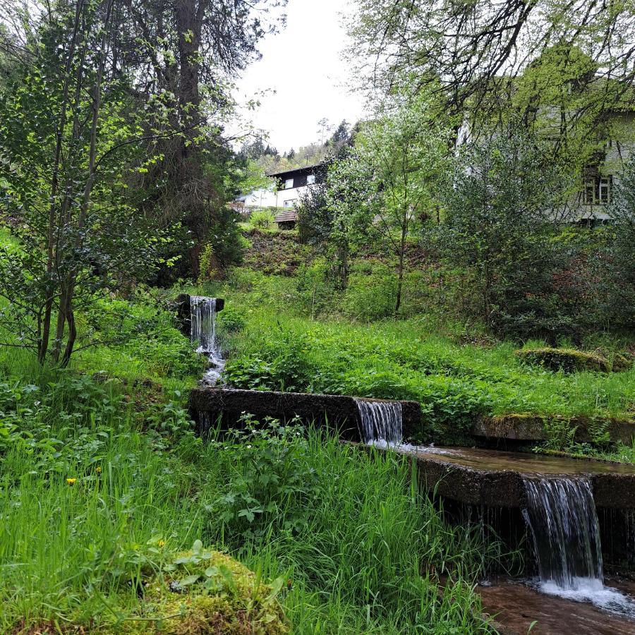 Wohn-Eitel Sonnenblick Διαμέρισμα Bad Wildbad Εξωτερικό φωτογραφία